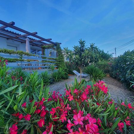 Residence Eucalyptus Suite 2 Casa Indipendente San Remo Zewnętrze zdjęcie